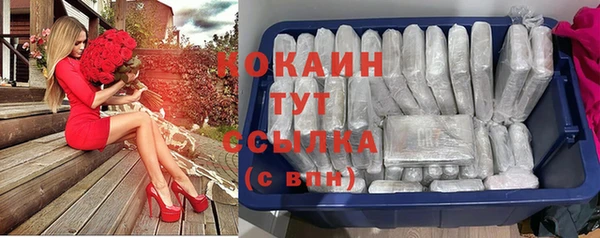 сатива Абдулино