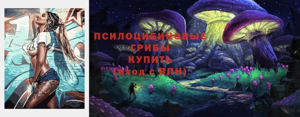 ECSTASY Абаза