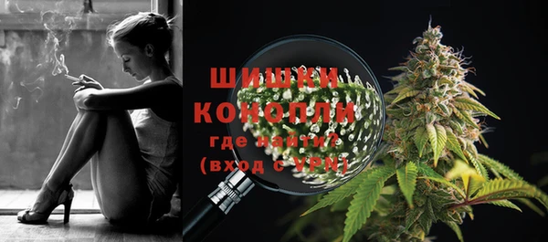 ECSTASY Абаза